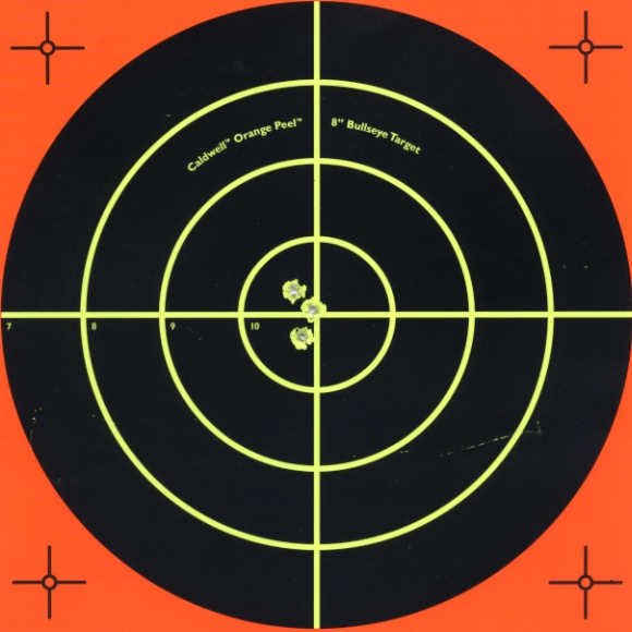 Range Report: T-Bolt and Sweet 22 | Rimfire Central Firearm Forum